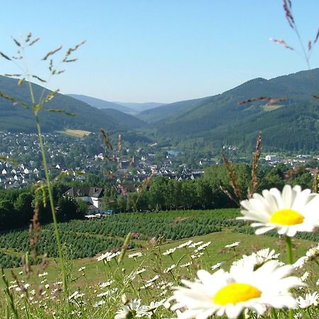 Hotel-Restaurant Schettel Olsberg Eksteriør bilde